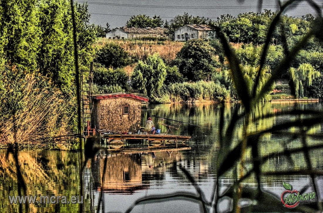 MeetCarp Romanian Awards 2013 - 1000022hdrmode2-2.jpg